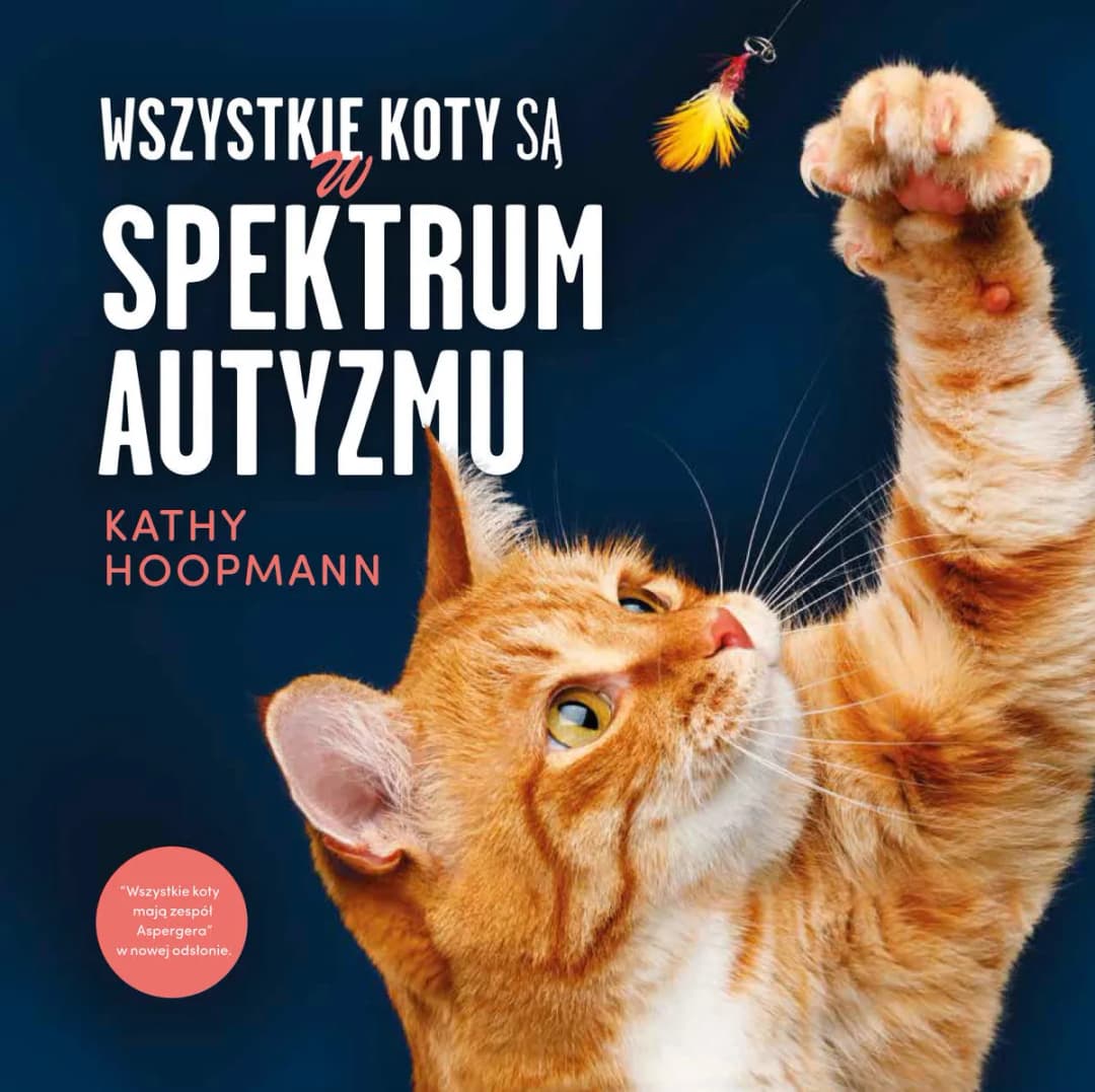 Czy koty mogą mieć autyzm? Objawy i zachowania, które warto znać